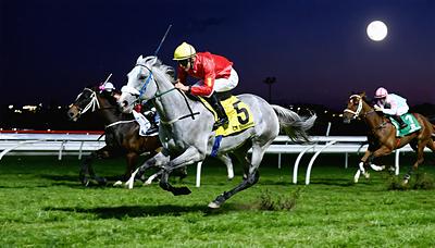 ガイアフォース