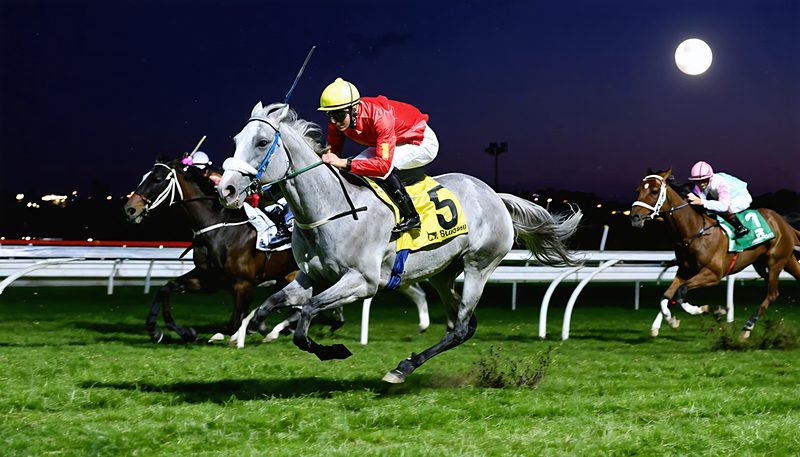 ガイアフォース