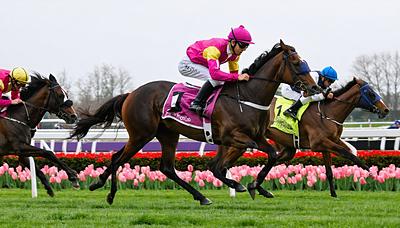 チューリップ賞