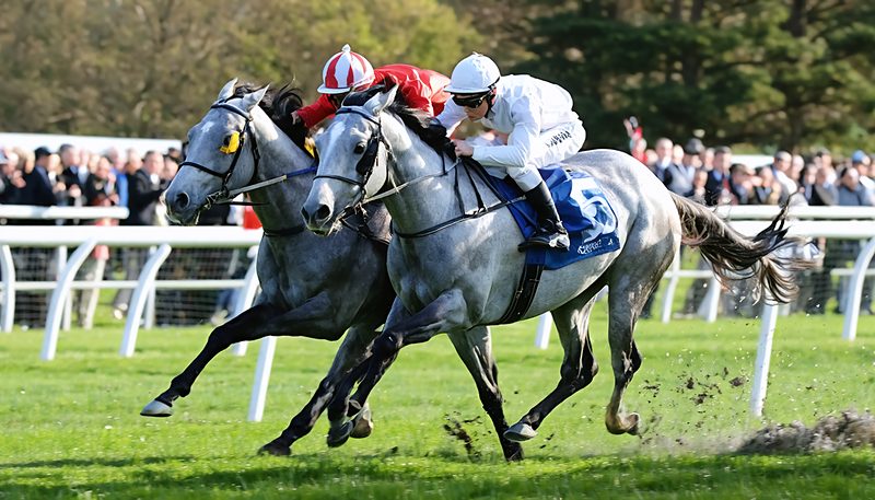 アクアヴァーナル