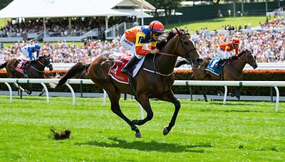 エンブロイダリー