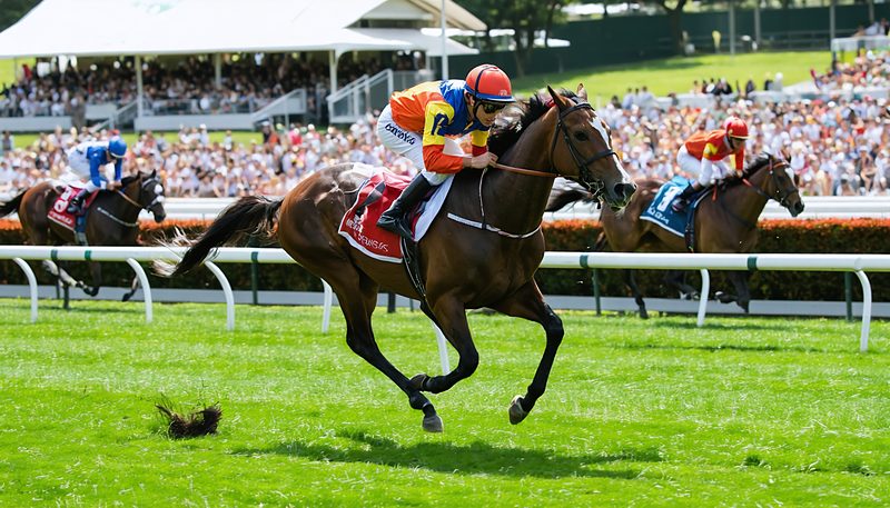 エンブロイダリー