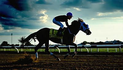 ロードフォンス