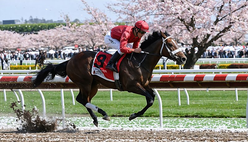 アスクエジンバラ