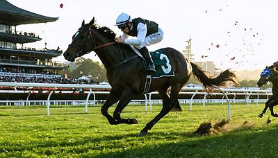 ディアダイヤモンド