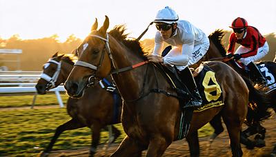 シャンパンカラー