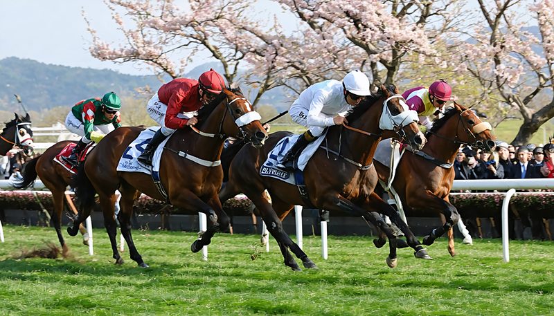 ライヒスアドラー