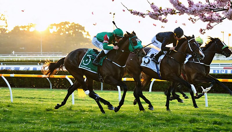 ラフターラインズ