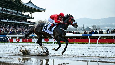 アドマイヤクワッズ