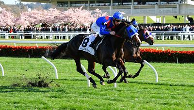 メイショウタバル