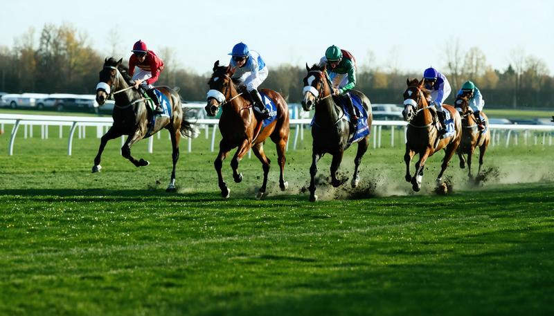 ビッグカレンルーフ