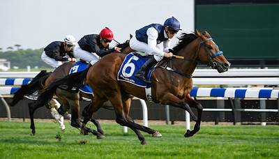 アスクシュタイン