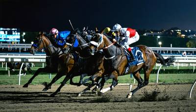 ウイングレイテスト