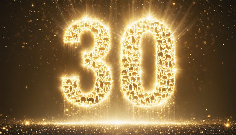 #ポケモン会えるかな