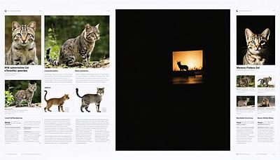 #マツコの知らない世界