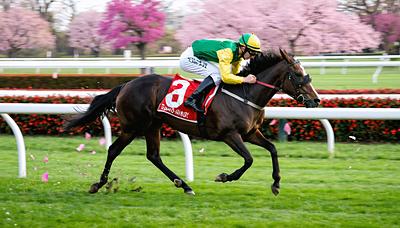 タイセイボーグ