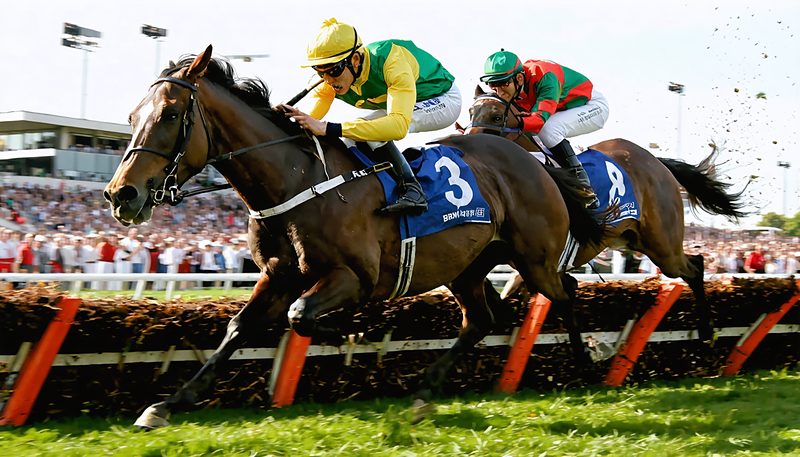 エコロデュエル