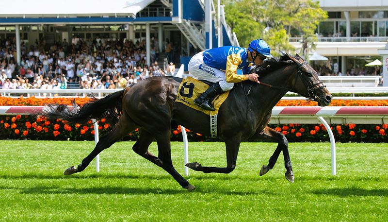 マスカレードボール