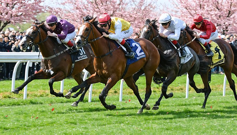 ジッピーチューン