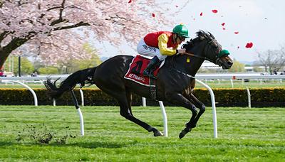 チャリングクロス