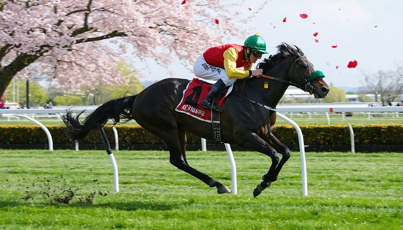 チャリングクロス