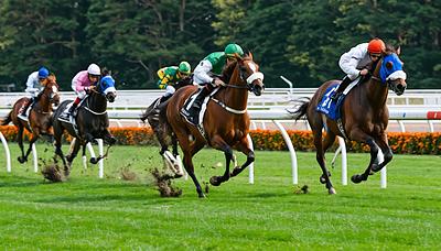 ペアポルックス