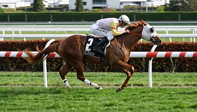 ギリーズボール