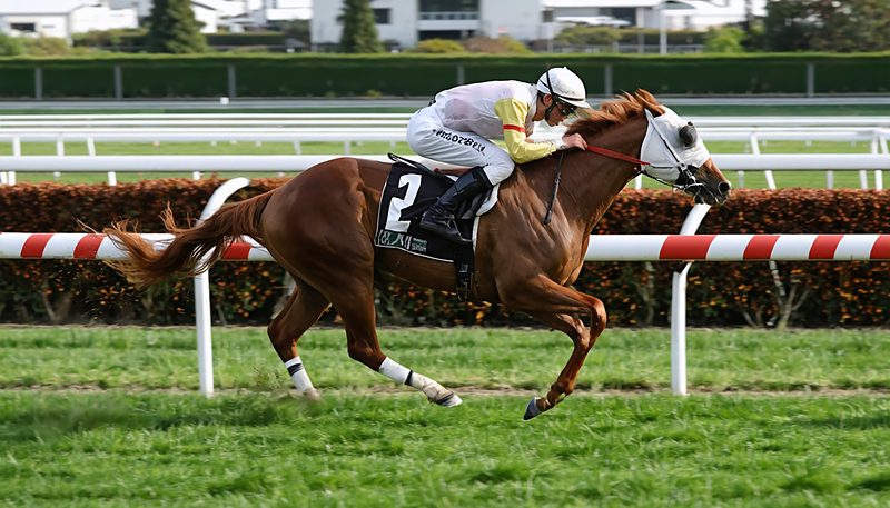 ギリーズボール