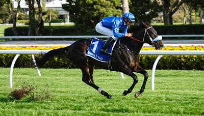 アドマイヤテラ