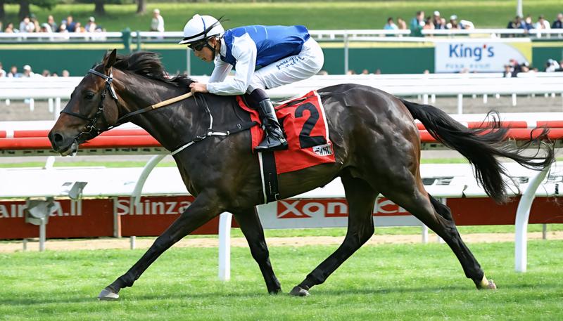 キングスコール