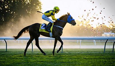 ボルドグフーシュ